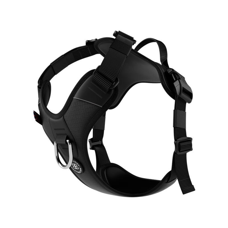 Dog harnesses