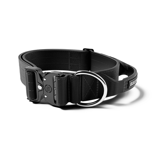 5cm Combat® Collar | With Handle & Rated Clip