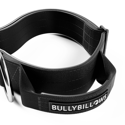 5cm Combat® Collar | With Handle & Rated Clip