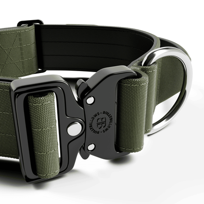 5cm Combat® Collar | With Handle & Rated Clip