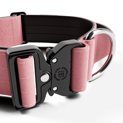 5cm Combat® Collar | With Handle & Rated Clip