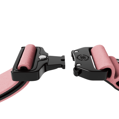 5cm Combat® Collar | With Handle & Rated Clip