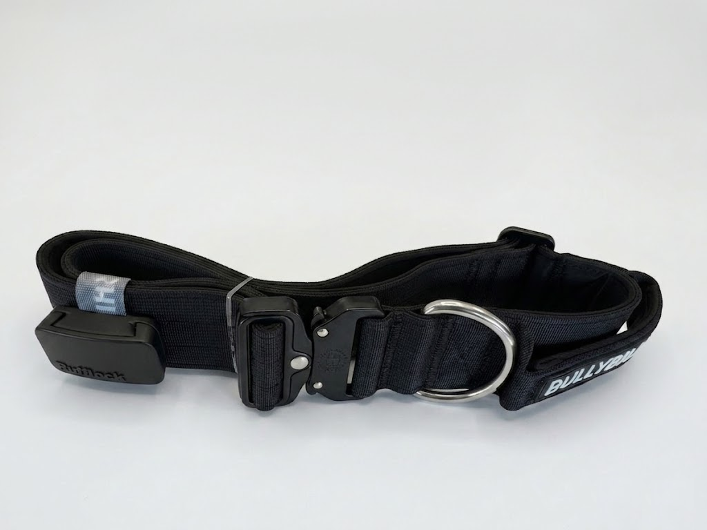 Pantone Black