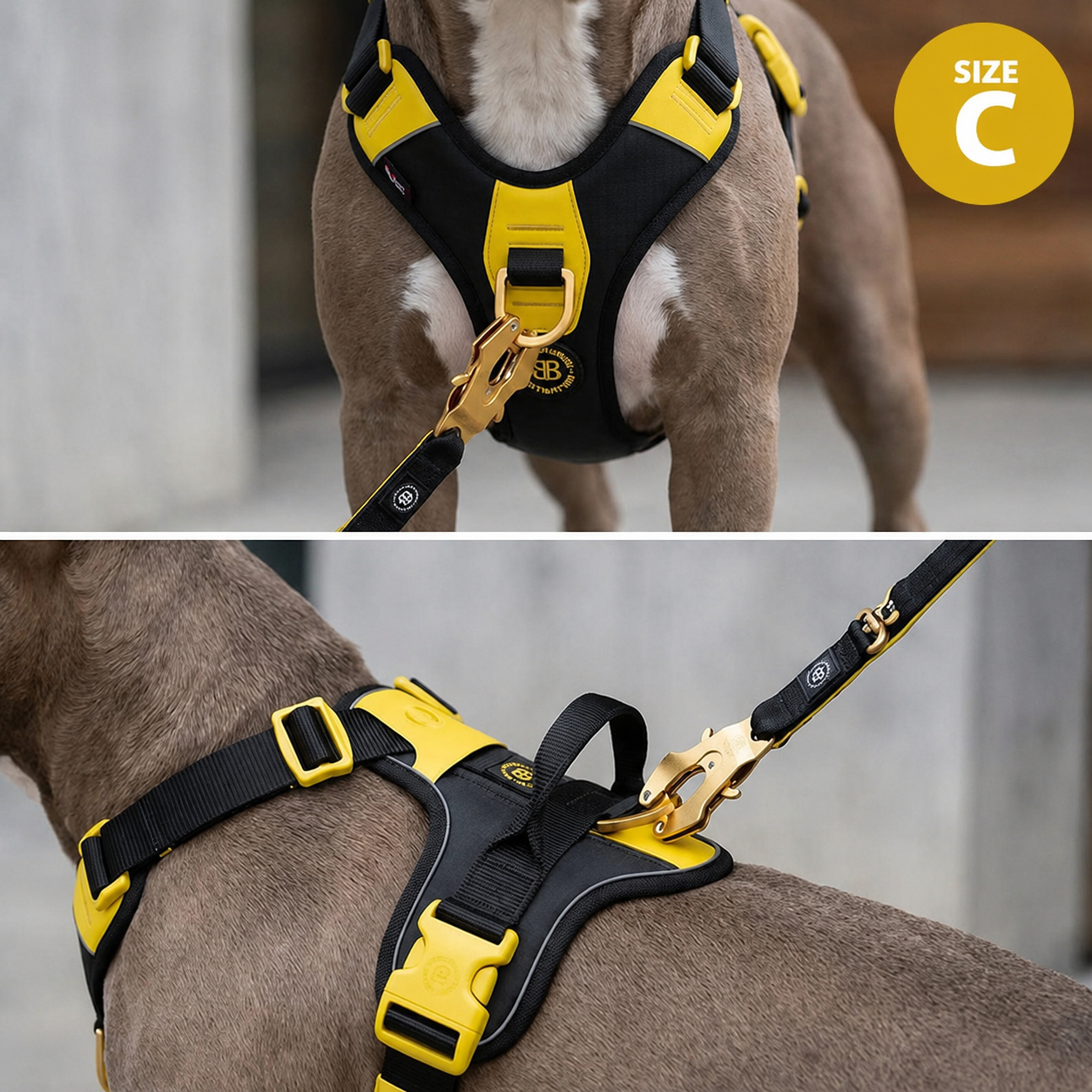 Anti Pull Hurricane Harness Lighter | With Handle