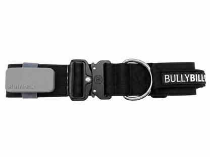 Pantone Wolf Grey