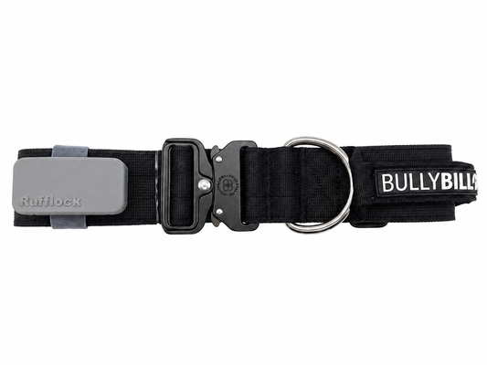 Pantone Wolf Grey