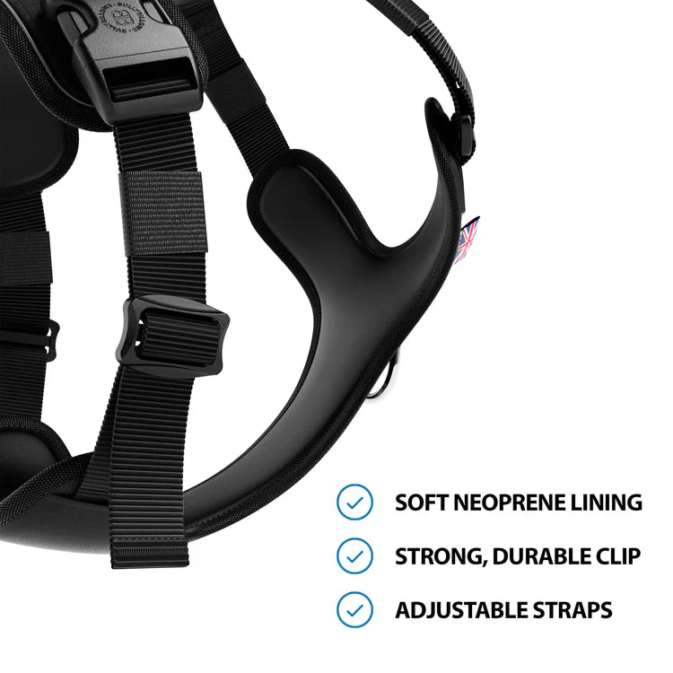 Anti Pull Hurricane Harness Lighter | With Handle