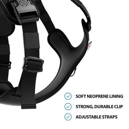 Anti Pull Hurricane Harness Lighter | With Handle