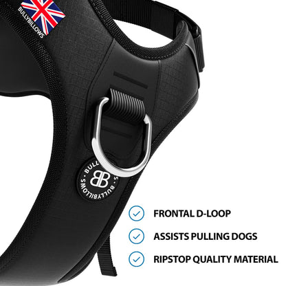 Anti Pull Hurricane Harness Lighter | With Handle