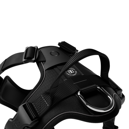 Anti Pull Hurricane Harness Lighter | With Handle