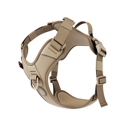 BullyBillows Anti Pull Hurricane Harness Lighter | With Handle - Rufflock