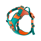 Turquoise x Orange