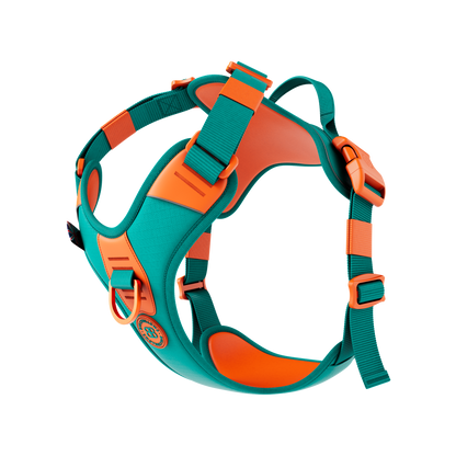 BullyBillows Anti Pull Hurricane Harness Lighter | With Handle - Rufflock