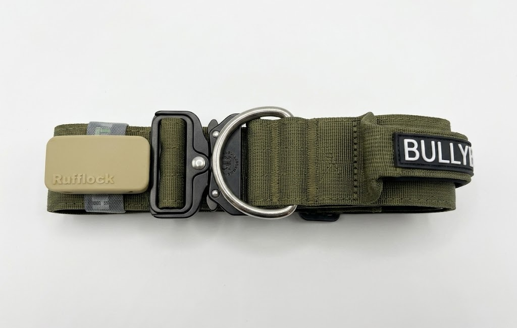Dog Bag Holder