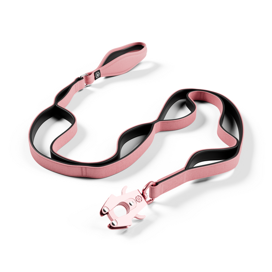 Ladder Combat® Lead - Multiple Handles