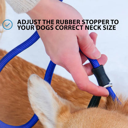 Slip Lead | Anti-Pull & Anti-Choking Training Lead