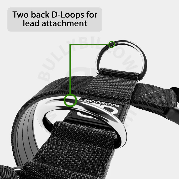TRI-Harness® | Anti-Pull, Adjustable & Durable - Dog Trainers Choice