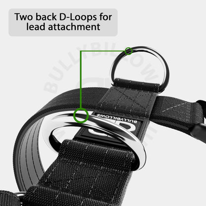 TRI-Harness® | Anti-Pull, Adjustable & Durable - Dog Trainers Choice