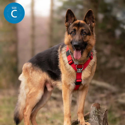 TRI-Harness® | Anti-Pull, Adjustable & Durable - Dog Trainers Choice