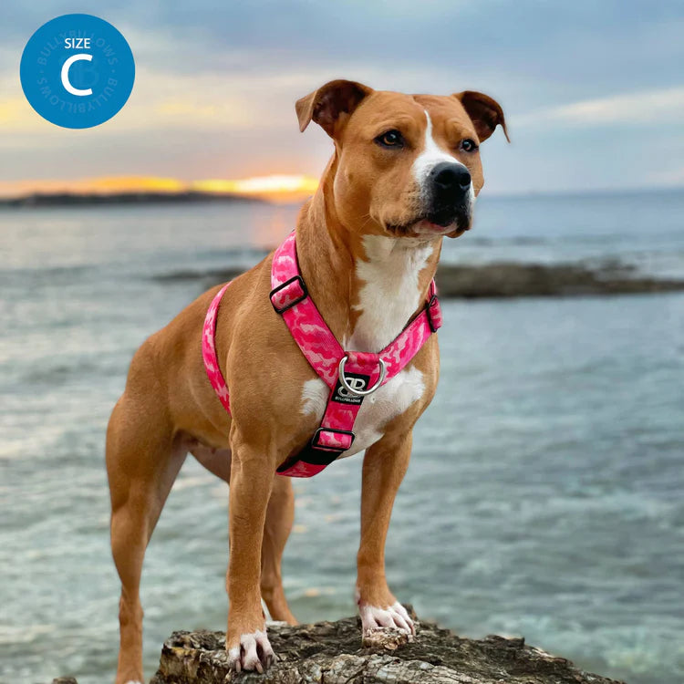 TRI-Harness® | Anti-Pull, Adjustable & Durable - Dog Trainers Choice