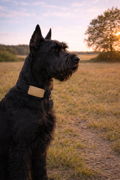 Dog Bag Holder - Rufflock