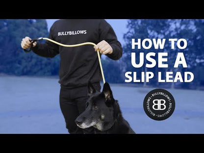 Slip Lead | Anti-Pull & Anti-Choking Training Lead