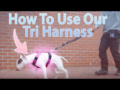 TRI-Harness® | Anti-Pull, Adjustable & Durable - Dog Trainers Choice